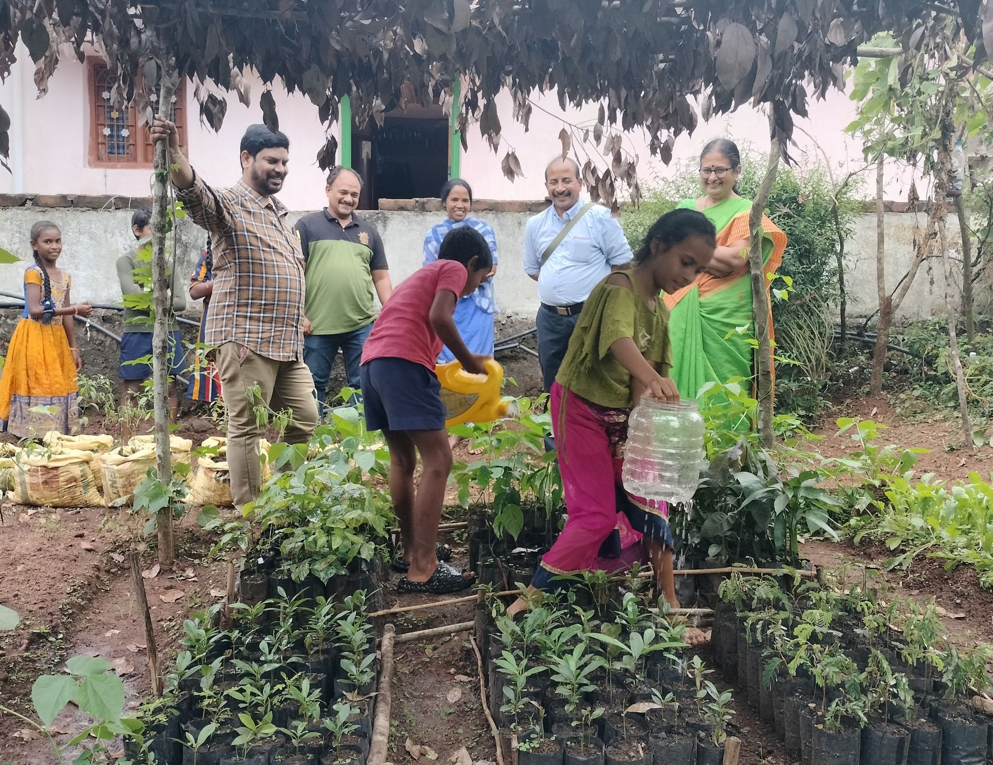 Promotion de l’agroforesterie dans la région tribale de Paderu, Andhra Pradesh, Inde, pour lutter contre le changement climatique dans la région